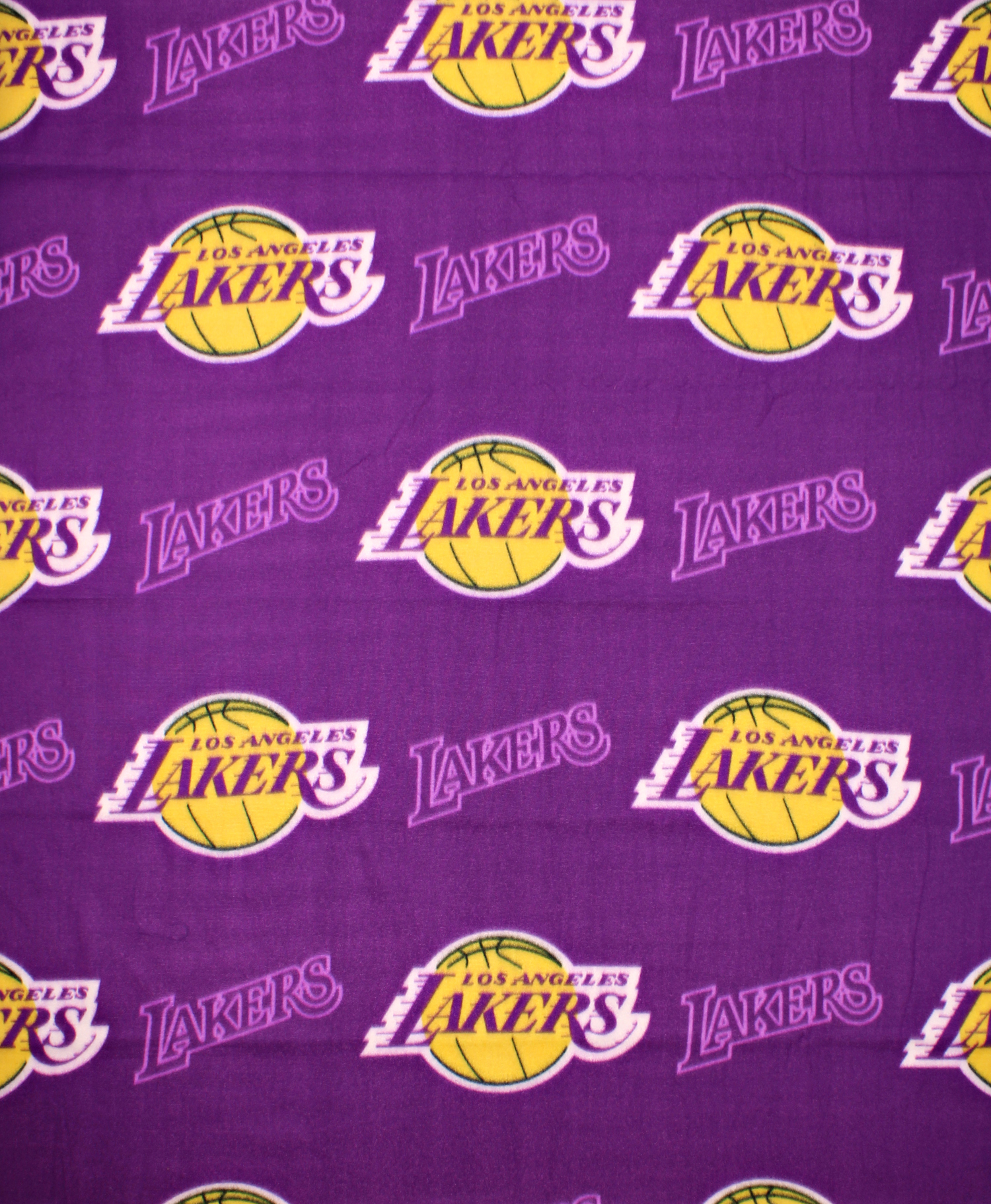 The Northwest Company Los Angeles Lakers NBA Fleece Throw Blanket ...