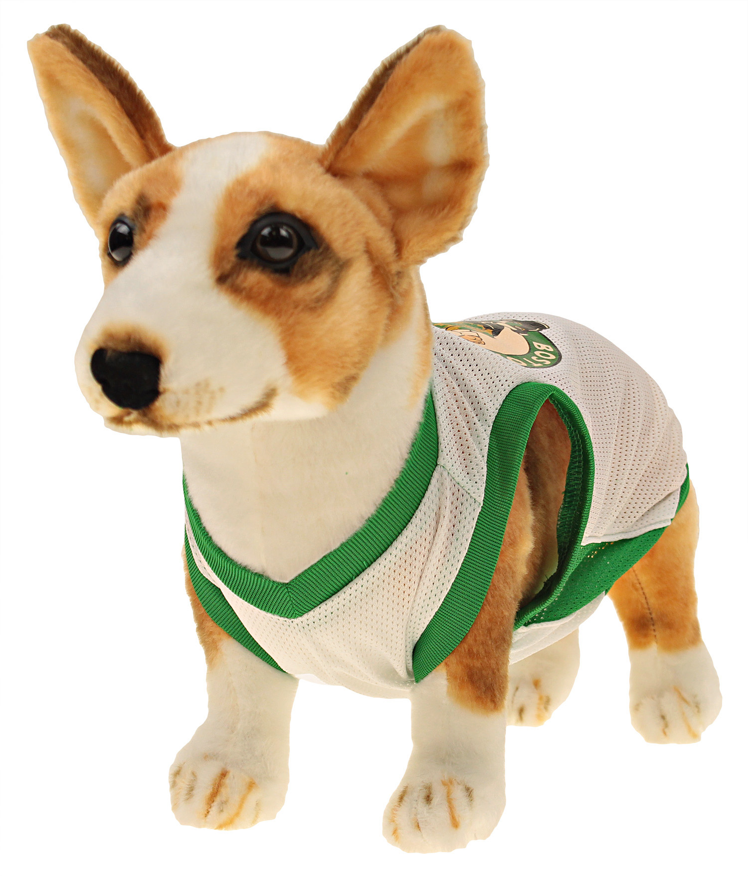 boston celtics dog shirt