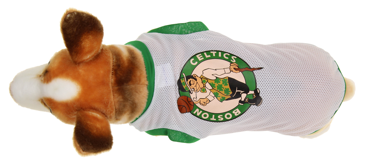 celtics dog jersey