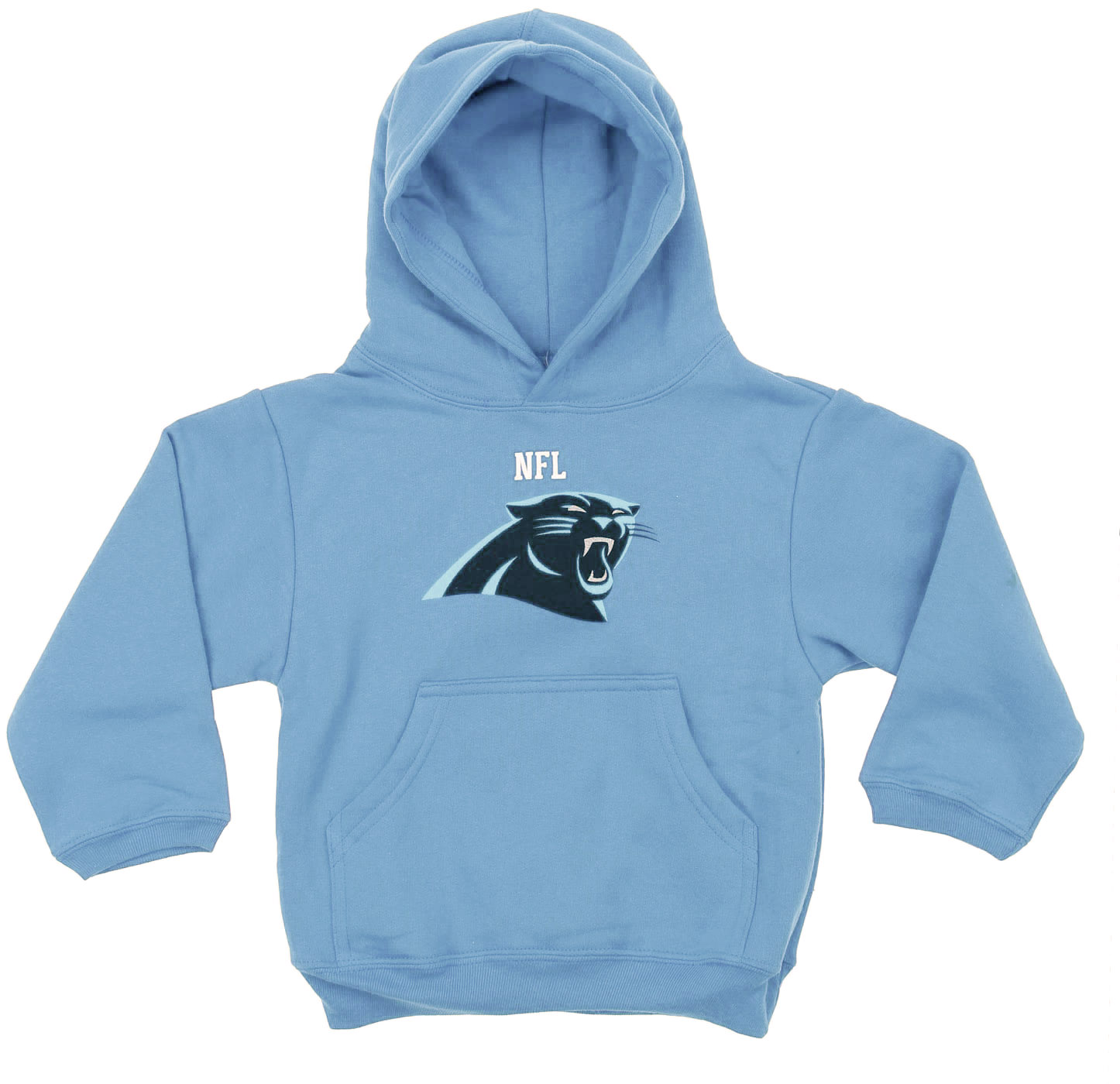 champion carolina hoodie